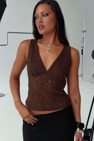 Aydinn Lace Plunge Neck Top Brown