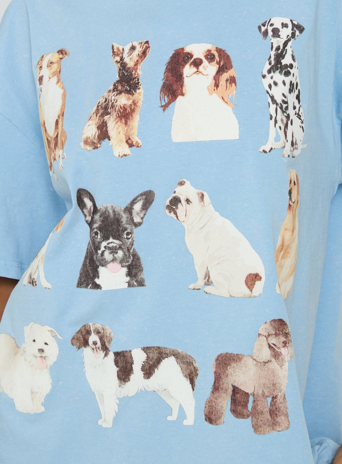 Dog Person Oversized Graphic Tee Washed Blue - Image 6